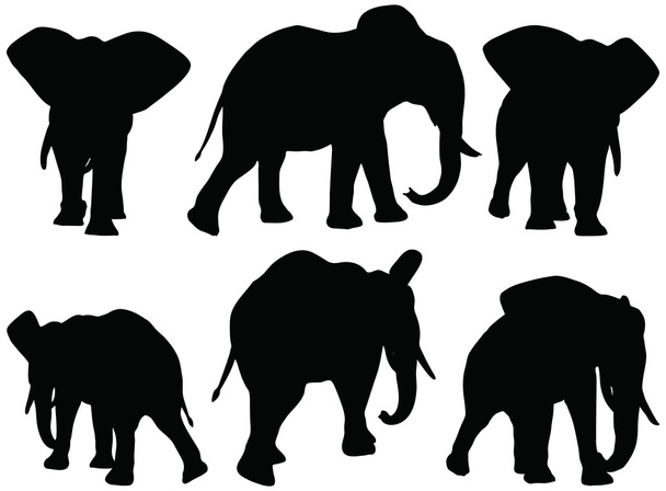 Ensemble de silhouettes vectorielles modifiables d'éléphants d'Afrique en posture de marche
 - Vecteur, image