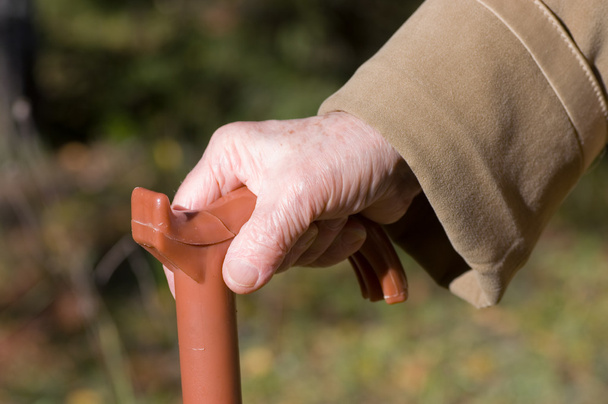 Old woman hand leans on walking stick - 写真・画像