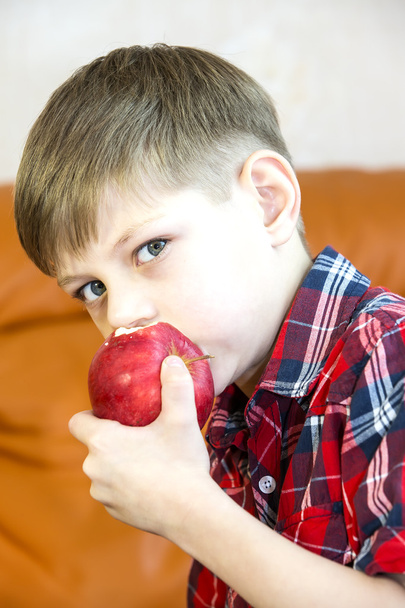 Children eating juicy red apple - Foto, afbeelding