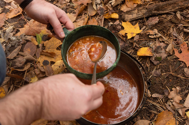 Versare borscht dalla pentola in un piatto. Borscht fresco cotto in natura. - Foto, immagini