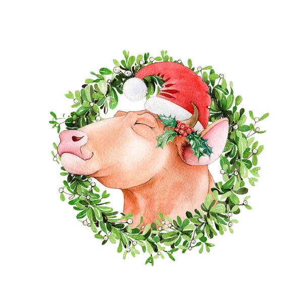 Cute bull (cow) in red santa hat and mistletoe wreath watercolor illustration. Hand drawn zodiac symbol of 2021 new year. Cartoon ox or bull in christmas hat. New year mascot on white background - Zdjęcie, obraz