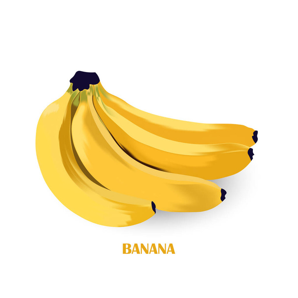 3D効果を持つバナナの束のベクトルイラスト。果実を熟す. - ベクター画像