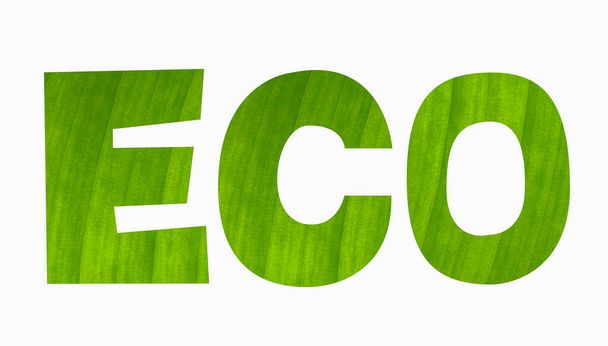 ECO typography with leaves texture design, Leaves font create display, isolated white background. - Фото, зображення