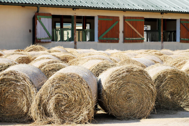 Vista de una granja de animales rurales con fardos de heno después de la cosecha. Las balas de heno rollo en el campo. Fin del verano. Textura de heno. Las balas de heno se apilan en grandes pilas en un centro de equitación desconocido  - Foto, Imagen