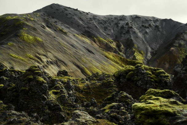 Lava field at Landmannalaugar in Fjallabak natural reserve, South Iceland. Beautiful nature landscape - Photo, image