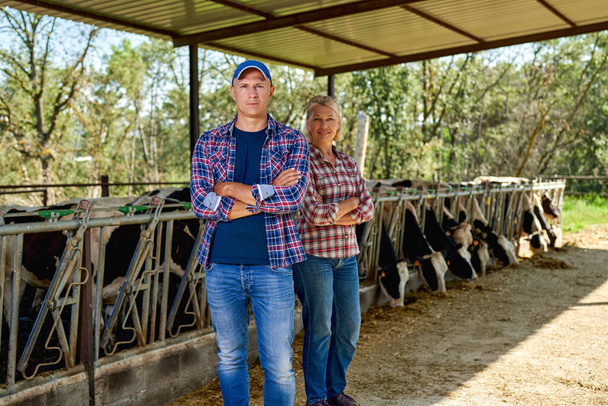 agricultor hombre y mujer en granja rural con vaca lechera - Foto, Imagen