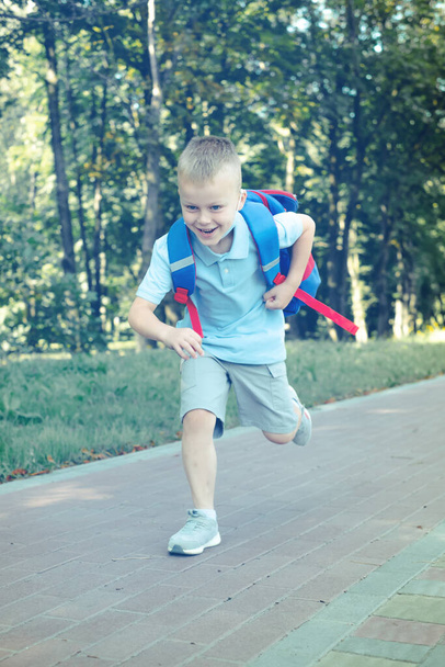公園を走ってるリュックを持った少年。幼児教育の概念。高品質の写真 - 写真・画像