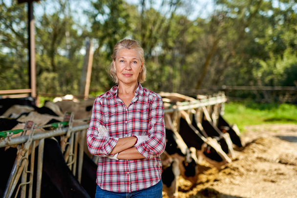 mujer en granja rural con vaca lechera. - Foto, Imagen