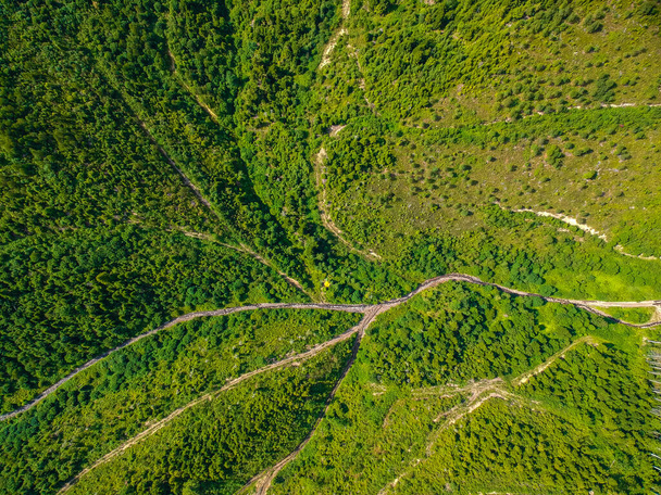 Πράσινη κοιλάδα στα Καρπάθια - Φωτογραφία, εικόνα