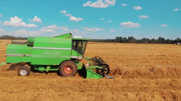 Temporada de cosecha. Combine la cosechadora trabajando en el campo de trigo. Copiar espacio - Metraje, vídeo