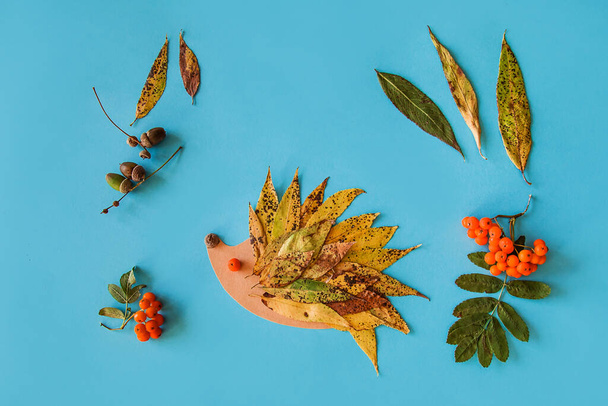 little child making autumn decoration from leaves and forest berries. Children's art project. DIY concept. Step-by-step photo instruction. - Foto, imagen