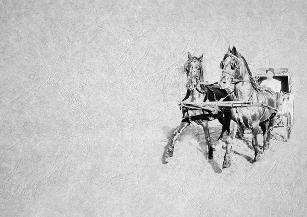 Черно-белая складная карточка в оттенках серого с изображением гордых сильных мускулистых лошадей, тянущих винтажные повозки на текстурированной бумаге кожаного типа с заголовком и большой текстовой областью - Фото, изображение