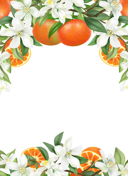 Πρότυπο κάρτα, πλαίσιο του χεριού που ανθίζουν κλαδιά μανταρίνι δέντρο, λουλούδια και μανταρίνια σε λευκό φόντο - Φωτογραφία, εικόνα