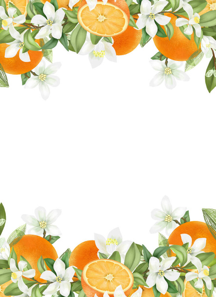 Kartenvorlage, Rahmen aus handgezeichneten blühenden Orangen Äste, Blumen und Orangen auf weißem Hintergrund - Foto, Bild
