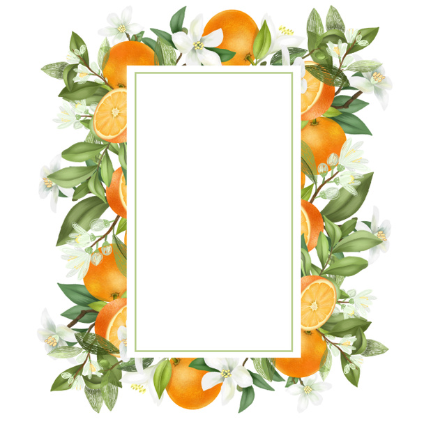 Marco vertical de ramas de naranjos florecientes dibujadas a mano, flores, naranjas sobre fondo blanco - Foto, imagen
