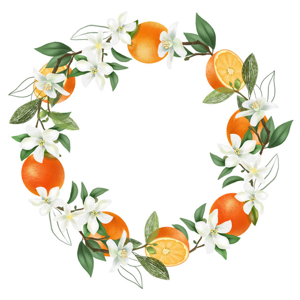 Kranz aus handgezeichneten blühenden Orangenzweigen, orangefarbenen Blüten und Orangen, isolierte Illustration auf weißem Hintergrund - Foto, Bild