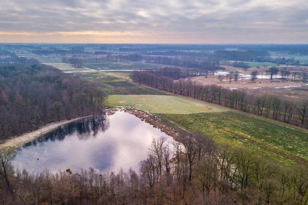 Aerial view of typical small scale Frisian landscape with windbreak shelterbelt trees and pools - Photo, Image