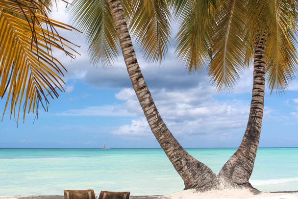 Schöner tropischer Strand und zwei Kokospalmen bleiben zusammen. Doppelpalme. Tropisches Paradies Strand mit weißem Sand und Kokospalmen. - Foto, Bild