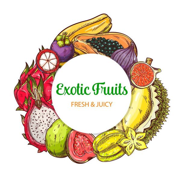 Tropical fruits vector round banner, isolated frame with sketch carambola, guava, lychee and pitahaya, mangosteen, passion fruit with papaya, figs or durian. Hand drawn eco farm exotic assortment - Vector, afbeelding