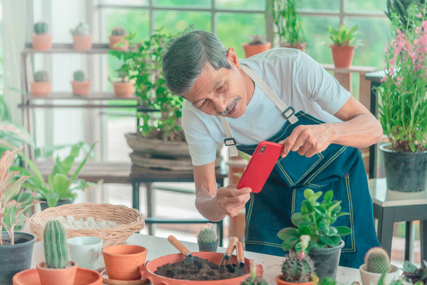 Senior retirement man having a happy time taking picture of plants in his greenhouse home garden. for happy retirement lifestyle concept. - Photo, Image