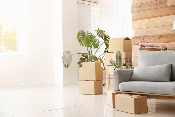 Boîtes en carton avec effets personnels et canapé dans un nouvel appartement le jour du déménagement - Photo, image