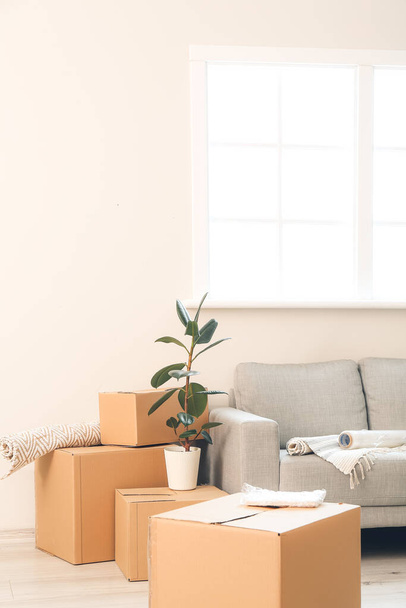 Scatole di cartone con effetti personali e divano nel nuovo appartamento il giorno in movimento - Foto, immagini