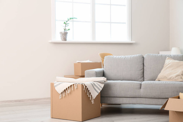 Kartonnen dozen met bezittingen en sofa in nieuwe flat op bewegende dag - Foto, afbeelding