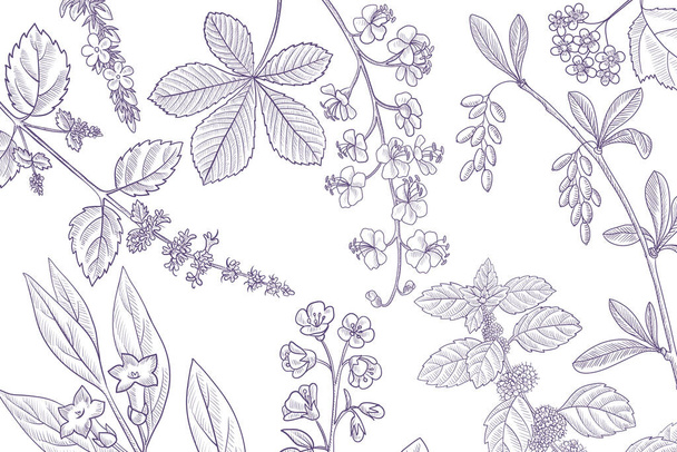 vector drawing floral vintage template - Vetor, Imagem
