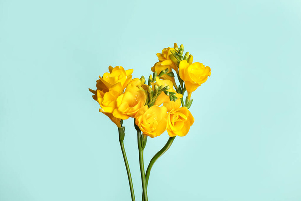 Beautiful blooming yellow freesias on light blue background - Zdjęcie, obraz