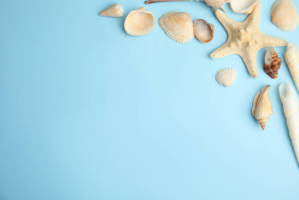 Different beautiful sea shells on light blue background, flat lay. Space for text - Foto, immagini