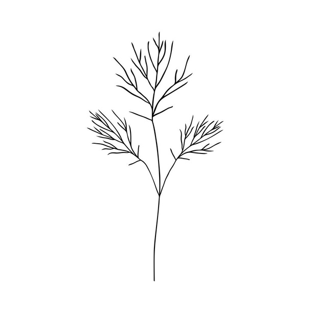 Hand drawn branch. Outlines vector element for design. Floral illustration. - ベクター画像