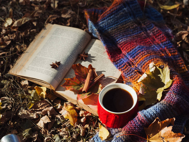 Egy bögre forró kávé őszi lombozatban színes kötött sállal és egy régi könyvvel. Szabadtéri kikapcsolódás a természetben. Őszi életmód - Fotó, kép