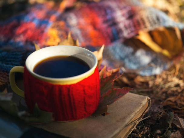 Una taza de café caliente en el follaje de otoño con una bufanda de punto de colores y un libro viejo. Relajación al aire libre en naturaleza. Estilo de vida otoñal - Foto, imagen