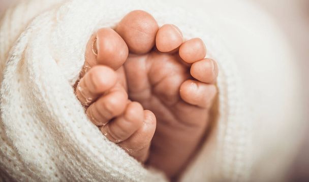 Tiny foot of newborn baby. Soft newborn baby feet against a pink blanket. Baby girl feet with toes curled up. Close up image. - Foto, Imagen
