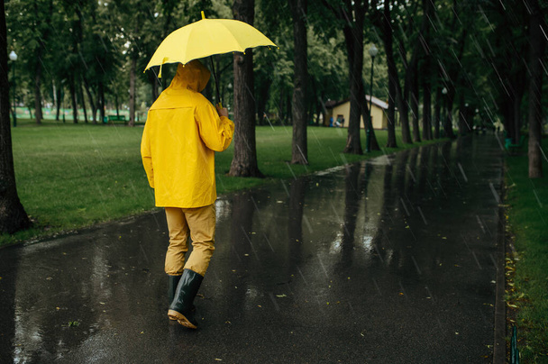 Mies sateenvarjon kanssa kävelee kesäpuistossa sadepäivänä. Miehen sadetakki ja kumisaappaat, märkä sää kujalla - Valokuva, kuva