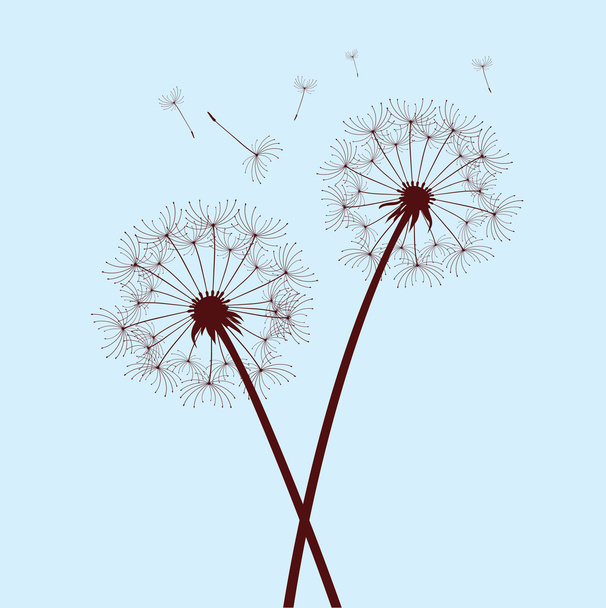 Two dandelions on blue background - Vector, Image