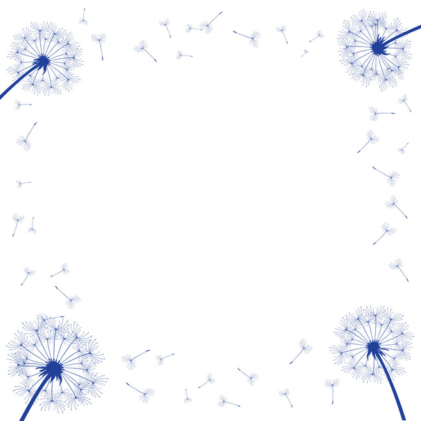 Сині кульбаби на білому тлі, квітковий фон
 - Вектор, зображення