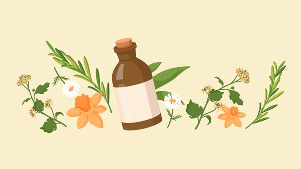 Medicina homeopática natural. Tratamiento orgánico saludable botella marrón con extractos de aceite caléndula y horsetai. - Vector, Imagen