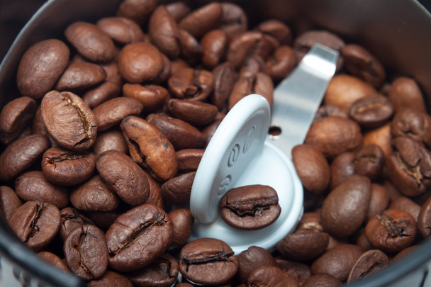 Macro electric grinder machine with coffee beans - Fotografie, Obrázek