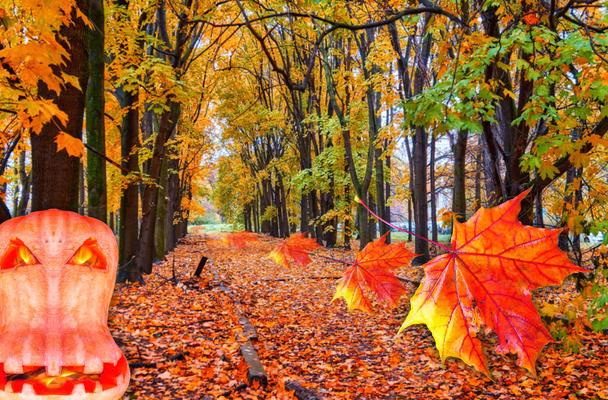 Φανταστικό κολάζ από τρομακτικό πορτοκαλί πρόσωπο της κολοκύθας αποκριές με φωτιά στα μάτια και το στόμα σε θολή φόντο του δρόμου δέντρο φθινόπωρο με φύλλα σφενδάμου που φέρουν - Φωτογραφία, εικόνα