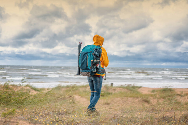 Young woman traveler in a yellow jacket walks along the coast of the north sea with a backpack, wild tourism and adventures in real nature. - Zdjęcie, obraz