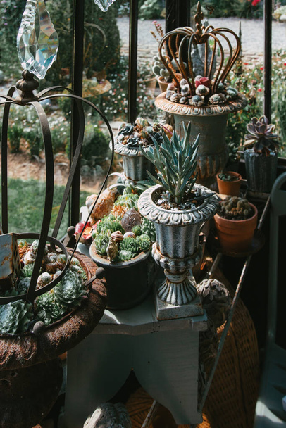Objetos decorativos y plantas en una veranda - Foto, Imagen