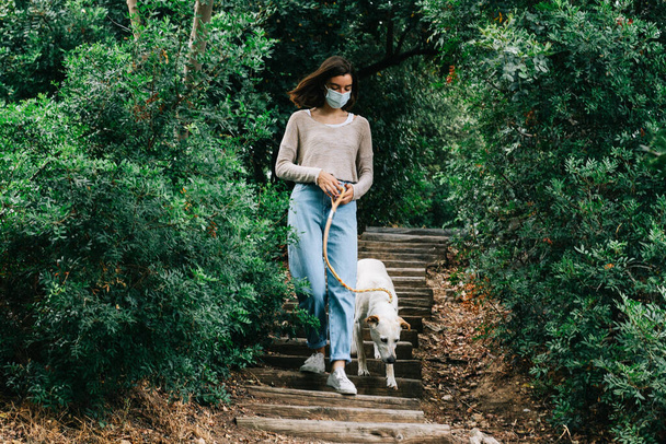 若い女性が顔のマスクを着て通りにクリーム色の犬を歩いている。柔らかい色。新しい普通の屋外の概念. - 写真・画像