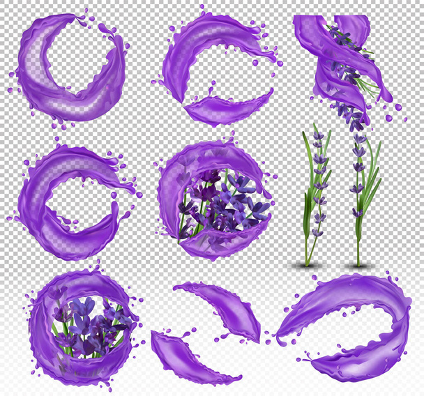 Kokoelma violetti laventeli vesipisaroilla. Läikyttää vettä laventelille. Aromilaventeli. Lempeä laventelikimppu. 3D realistinen vektori kuva - Vektori, kuva