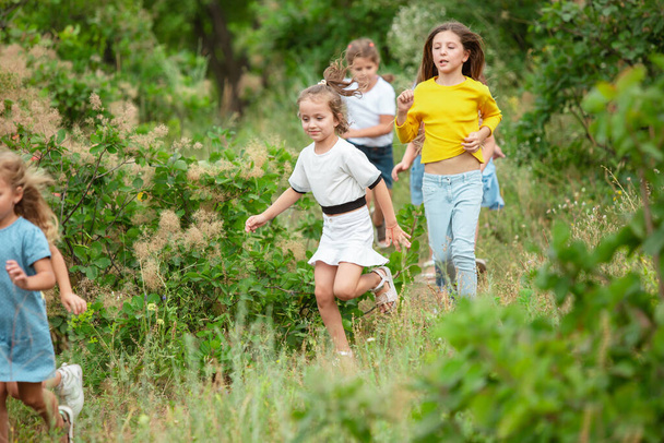 Kids, children running on green meadow, forest. Childhood and summertime - Фото, зображення