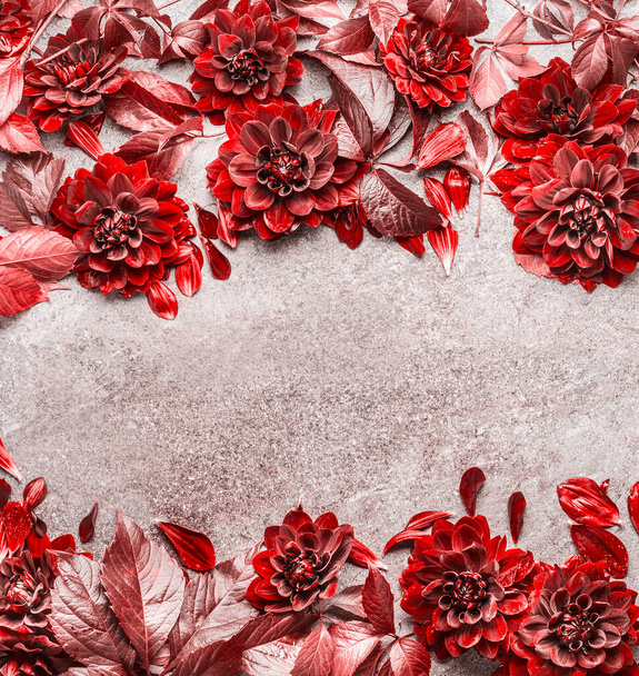 Beautiful creative  red autumn flowers and leaves frame composing on gray stone background. Floral fall pattern , flat lay, top view - Foto, Imagem