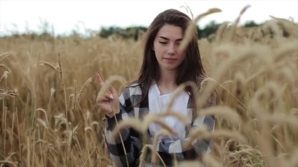 Une belle jeune fille marche à travers le champ de blé et touche les épillets avec ses mains. Gros plan. Mouvement lent - Séquence, vidéo