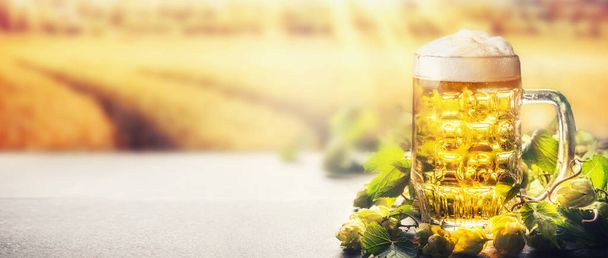Mug of beer with foam on table with hops at field nature background with sunbeam, front view, banner - Photo, Image