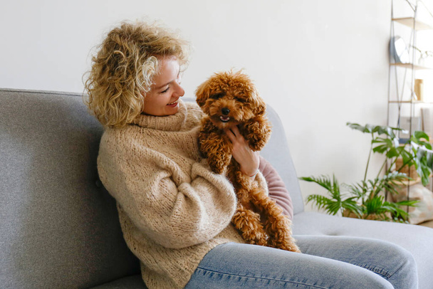 Adorable toy poodle puppy in arms of its loving owner. Small adorable doggy with funny curly fur with adult woman. Close up, copy space. - Fotografie, Obrázek