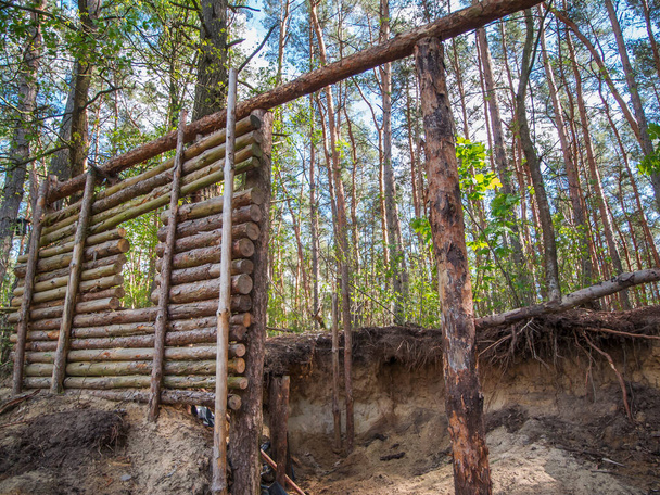 Wide angle view of the raw construction of a wooden hut in the forest. - Photo, Image
